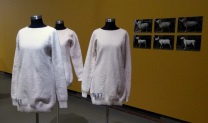 Elke trui is van de wol van één schaap gemaakt. Ze zijn dan ook niet precies even lang en anders van structuur.